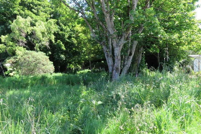 8 Walker Street, Riverton/Aparima - Carousel 2