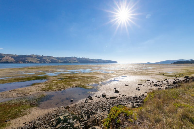 17 Kokomuka Avenue, Harwood, Dunedin - Carousel 21