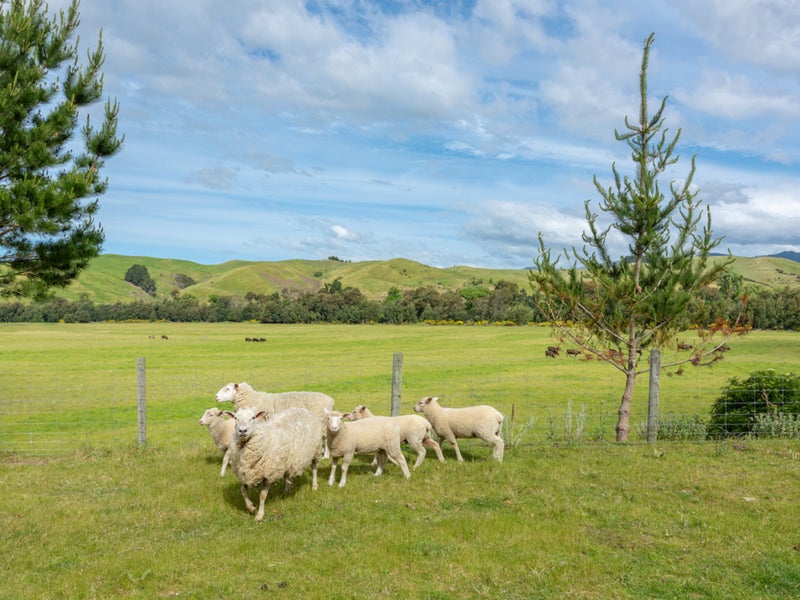 85 TYNTESFIELD RD, MARLBOROUGH - Carousel 27
