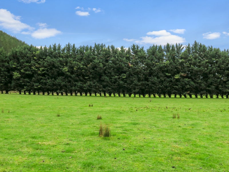 0 Leslies Road, Okaramio, Havelock - Carousel 2