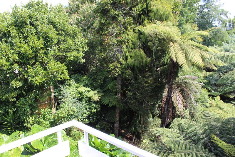 29A Tomin Road, Glenview, Hamilton - Carousel 17