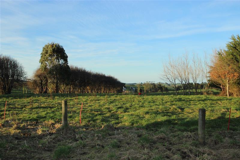 8 Pine Bush-Forestvale Road, PINE BUSH, WYNDHAM - Carousel 2