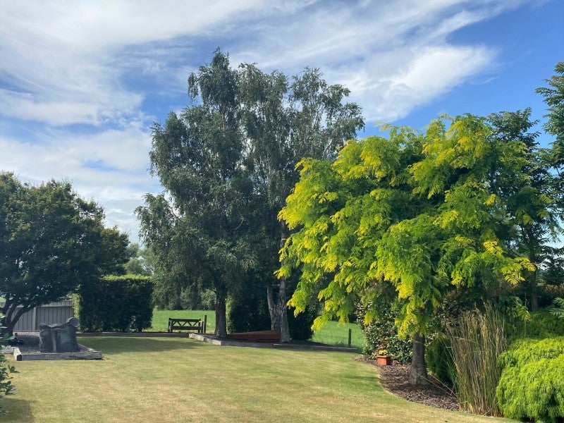 521 Te Aroha-Gordon Road, Te Aroha West, Te Aroha - Carousel 26