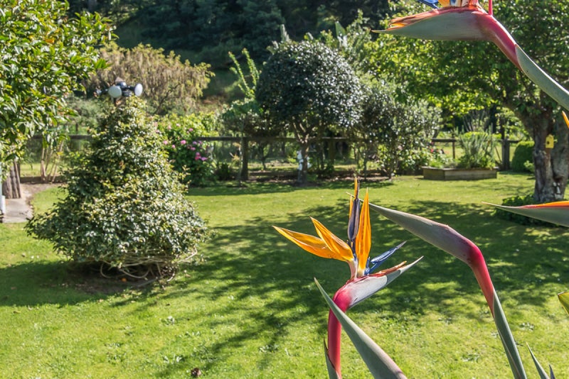 34 Park Avenue, Waikanae - Carousel 2