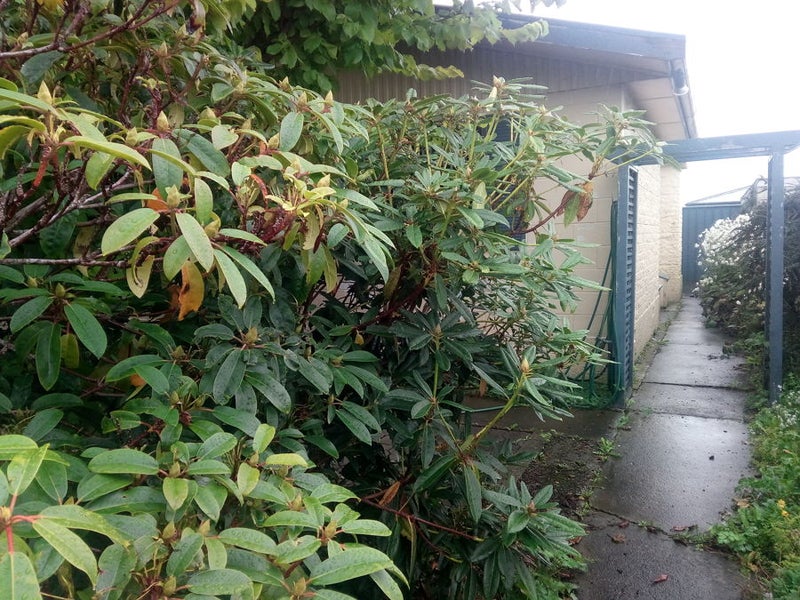 5 Hastings Street, Waikiwi, Invercargill - Carousel 2