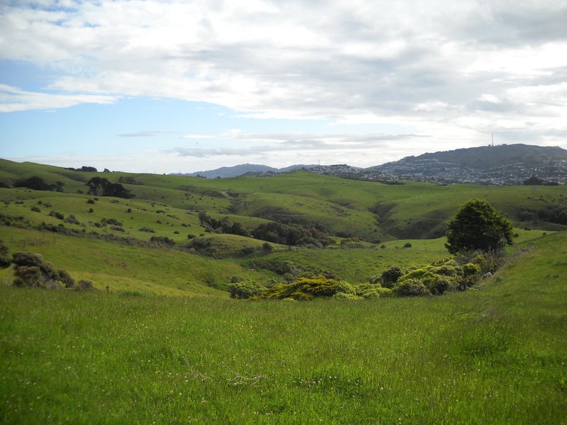 4 Van Der Velden Way, Horokiwi, Wellington - Carousel 1