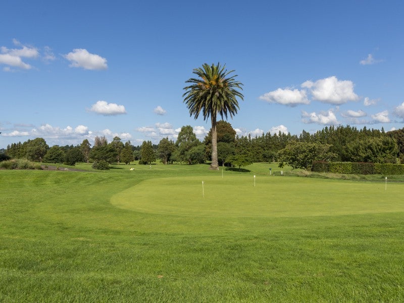 5 William Wood Place, Aongatete, Katikati - Carousel 20