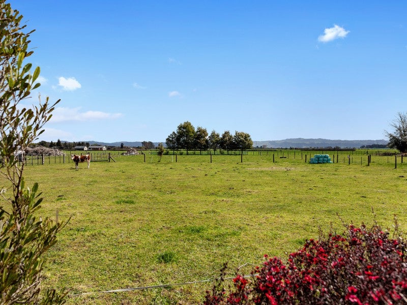 702 Western Drain Road, Te Teko, Whakatane - Carousel 26