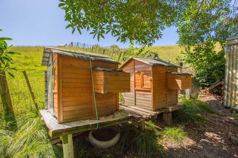 27 Einstein Street, Outer Kaiti, Gisborne - Carousel 21