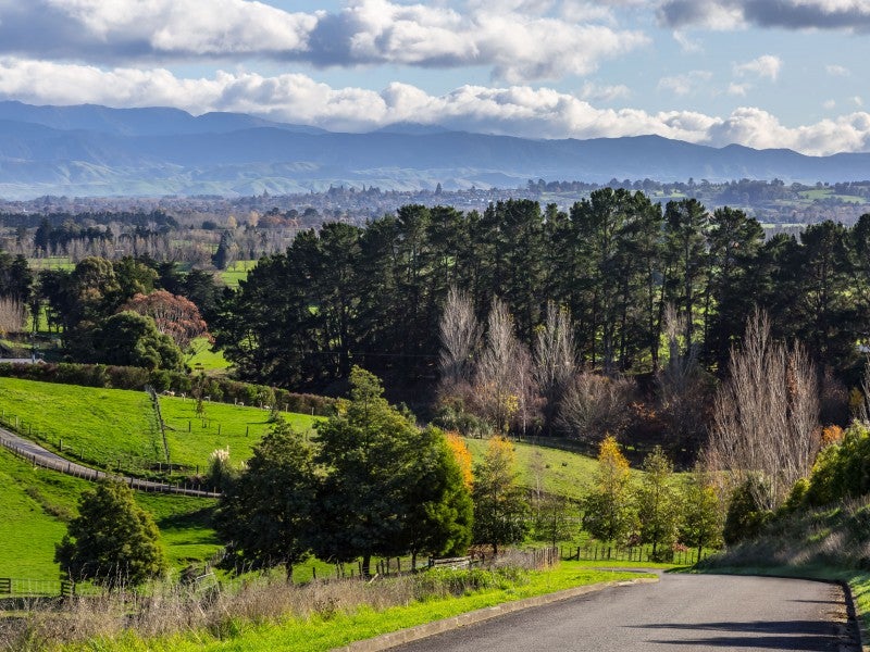 117I Lees Pakaraka Road, Te Ore Ore, Masterton - Carousel 11