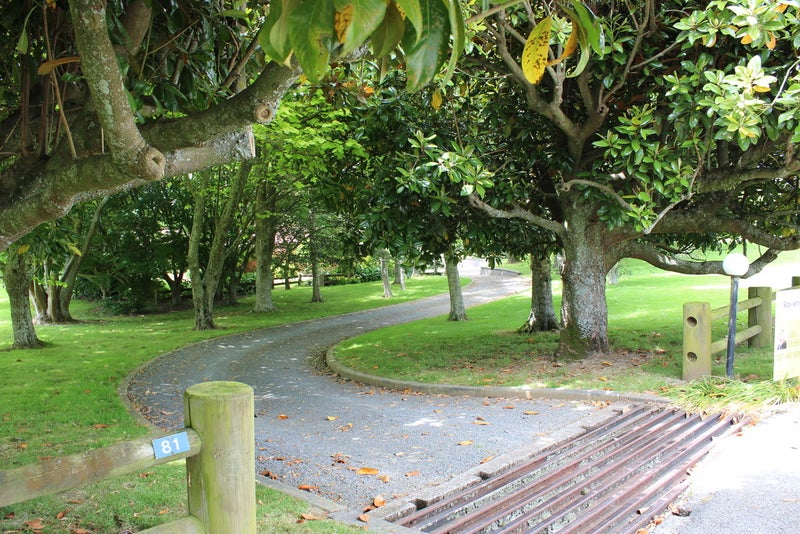 81 St Leger Road, Te Awamutu, Te Awamutu - Carousel 2