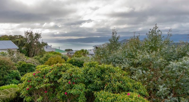 17 Mitchell Street, Brooklyn, Wellington - Carousel 2