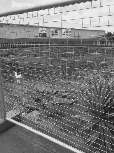 2/956 Heaphy Terrace, Fairfield, Hamilton - Carousel 1