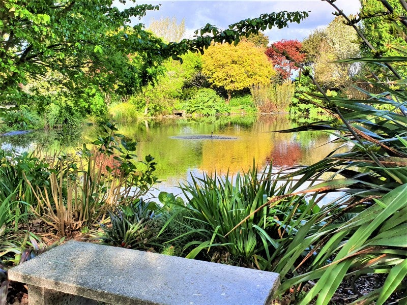 105A Mclean Road, Awakeri, Whakatane - Carousel 26