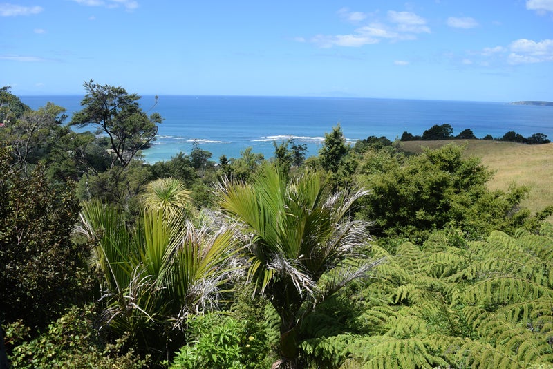 115 Leigh Road, Warkworth - Carousel 2