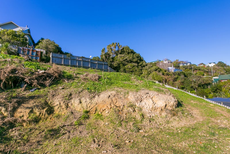 74 Curtis Street, Northland, Wellington - Carousel 16
