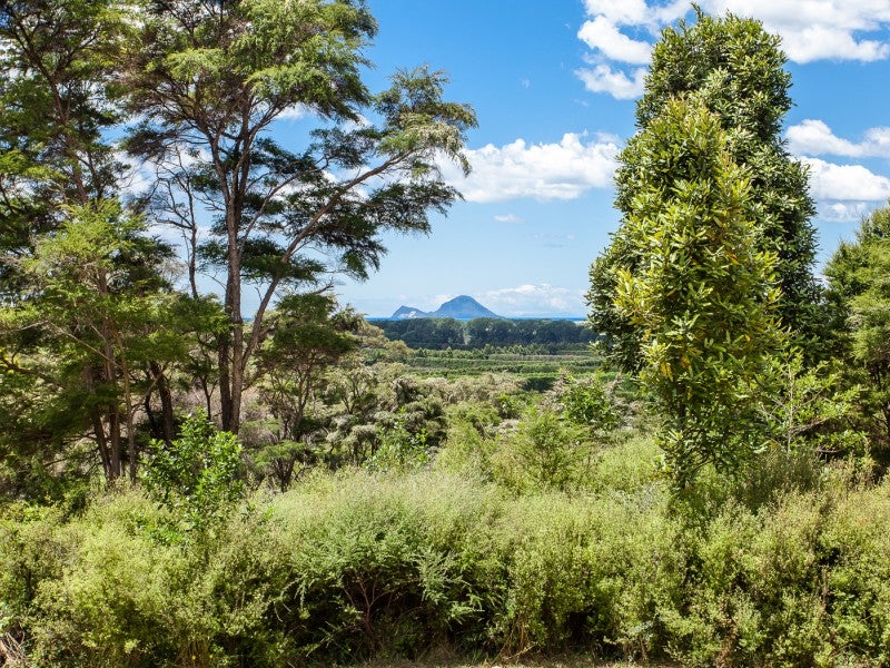 4 Kereru Lane, Matata, Whakatane - Carousel 18