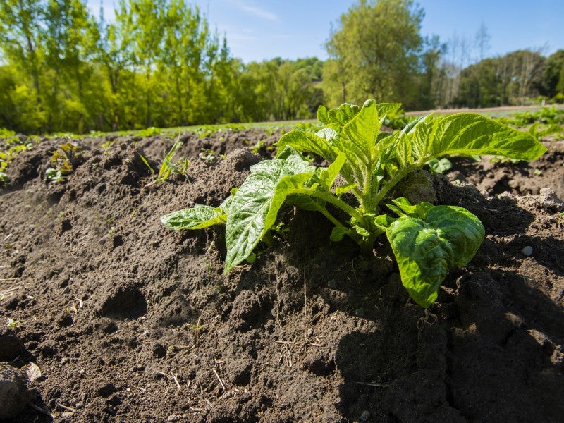 1468 Matawai Road, Ormond, Gisborne - Carousel 26