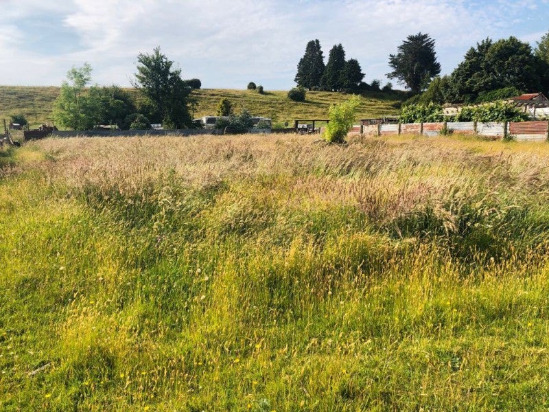 727 Oroua Valley Road, Apiti, Āpiti - Carousel 2