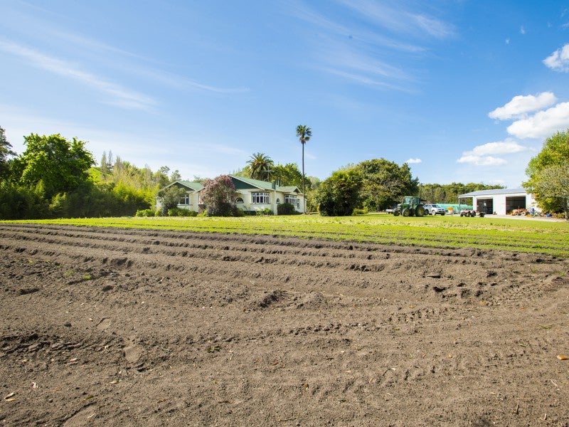 1468 Matawai Road, Ormond, Gisborne - Carousel 2