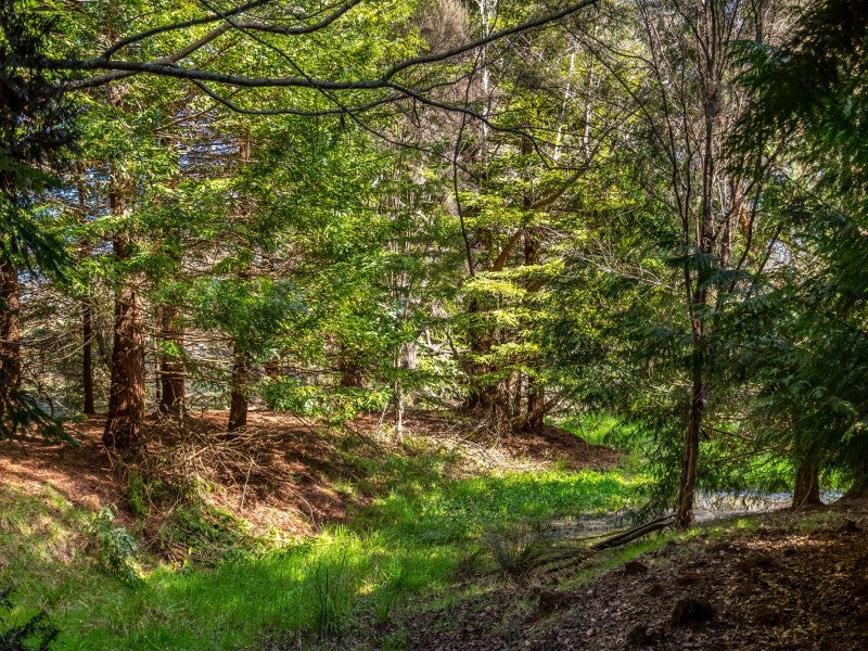 551 Bluff-Rangitumau Road, RANGITUMAU, MASTERTON - Carousel 15