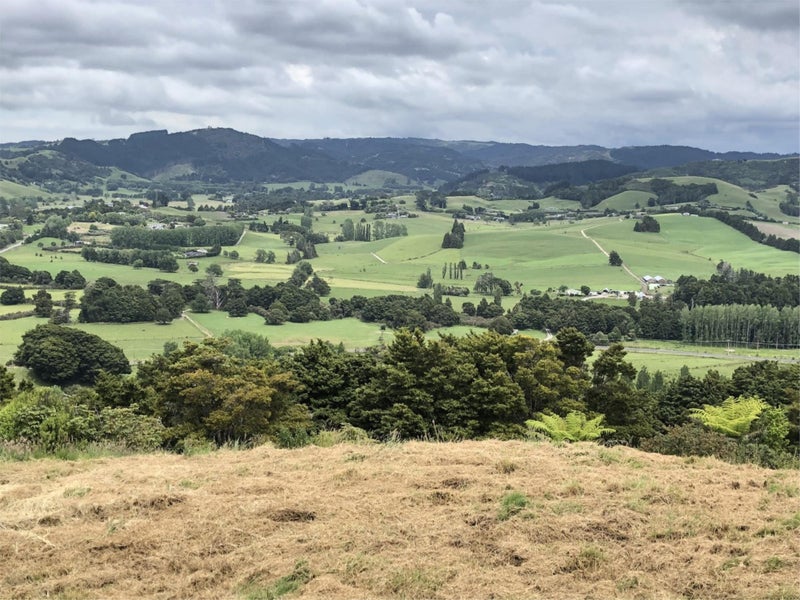 19 Hawks Ridge Rise, Dome Forest, Warkworth - Carousel 2