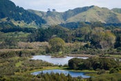97 Koutunui Road, Athenree, Western Bay Of Plenty, Bay Of Plenty