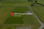 1365 Rongotea Road, Kairanga, Palmerston North, Manawatu / Whanganui