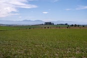 Hadlow Road, Timaru, Timaru, Canterbury