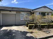 172 Rutland Street, St. Albans, Christchurch City, Canterbury