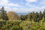 270 Wharawhara Road, Katikati, Western Bay Of Plenty, Bay Of Plenty