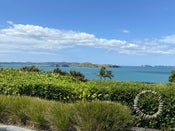 300 Riddell Road, Glendowie, Auckland City, Auckland