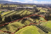 137 Lund Road, Katikati, Western Bay Of Plenty, Bay Of Plenty
