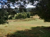 596 Waimate North Road, Kerikeri, Far North, Northland