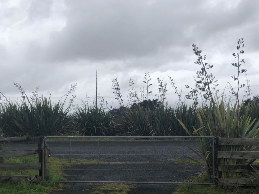 65 Paetai Road, Ohinewai, Huntly - Carousel 2