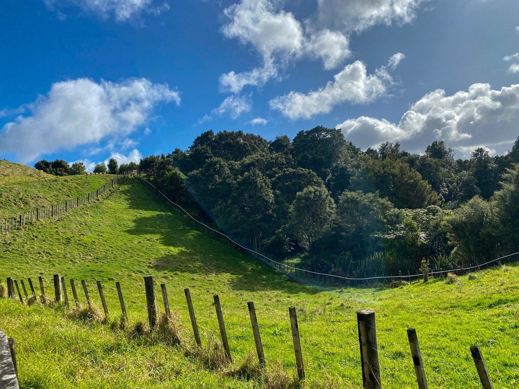 452 Moir Hill Road, Warkworth, Warkworth - Carousel 2