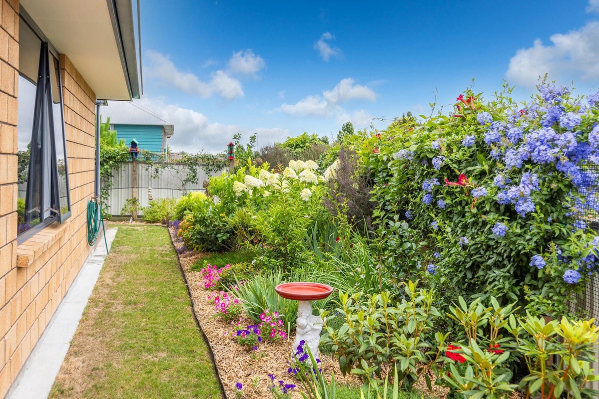 25B Grey Street, Kihikihi, Waipa - Carousel 23