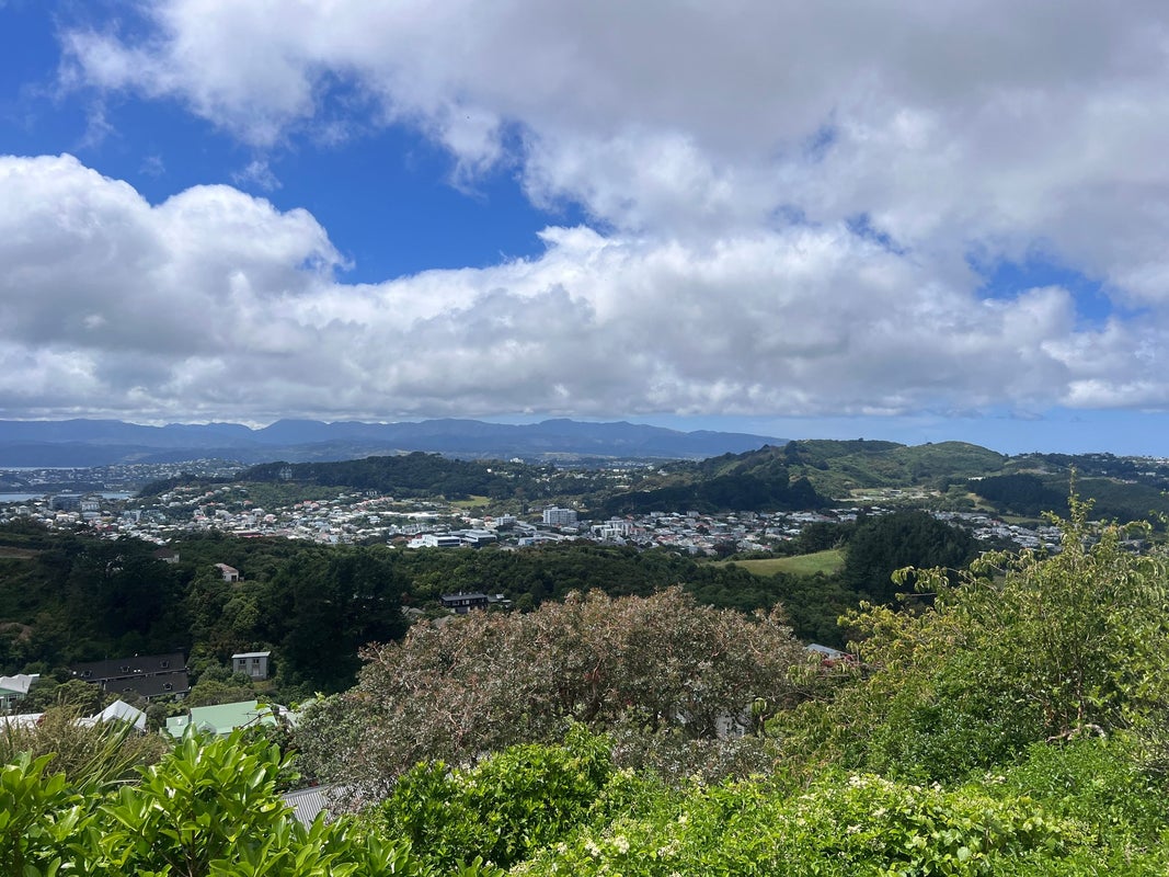27B Mana Street, Vogeltown, Wellington - Carousel 15