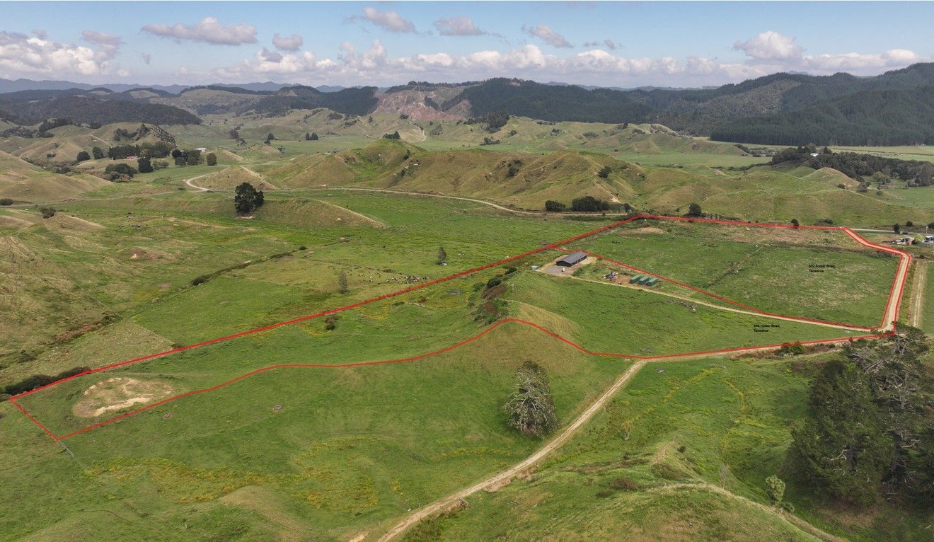 546 Foster Road, TANEATUA, Taneatua - Carousel 18