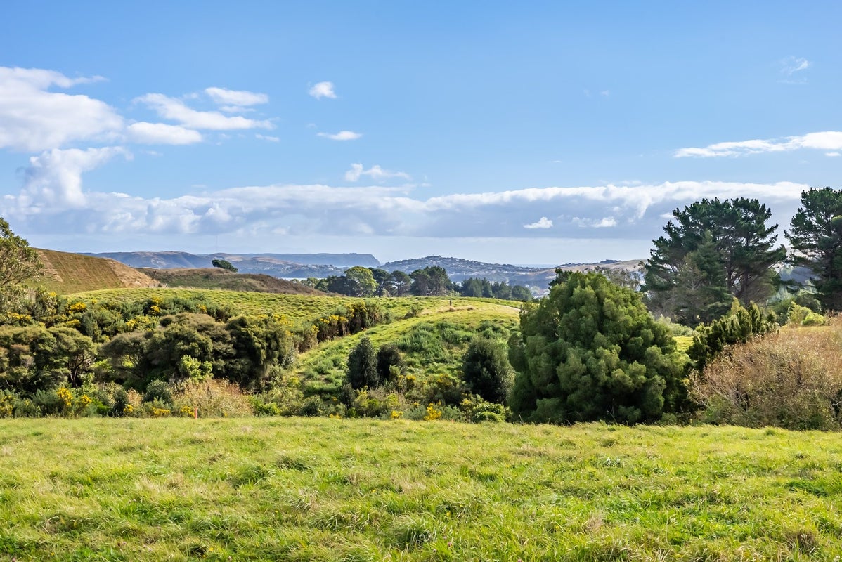 11 Margarita Grove, Judgeford, Porirua - Carousel 2