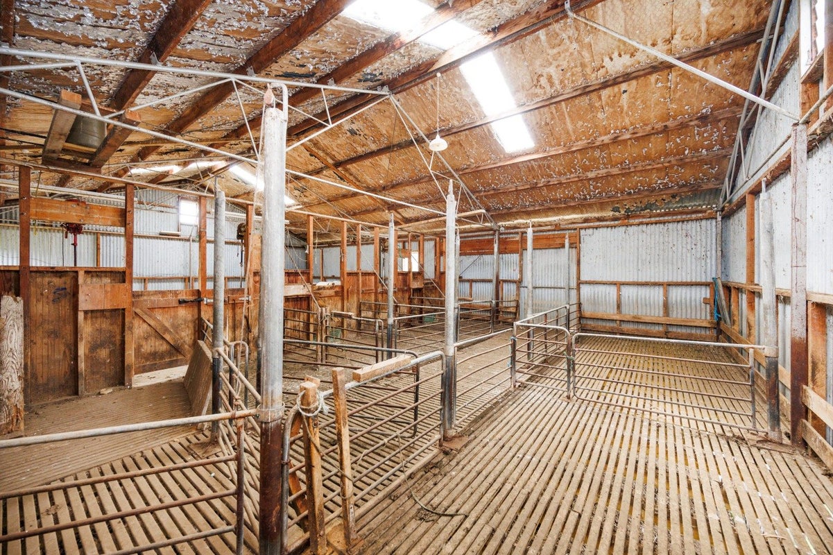 852 Penny Road, Sanson, Palmerston North - Carousel 50
