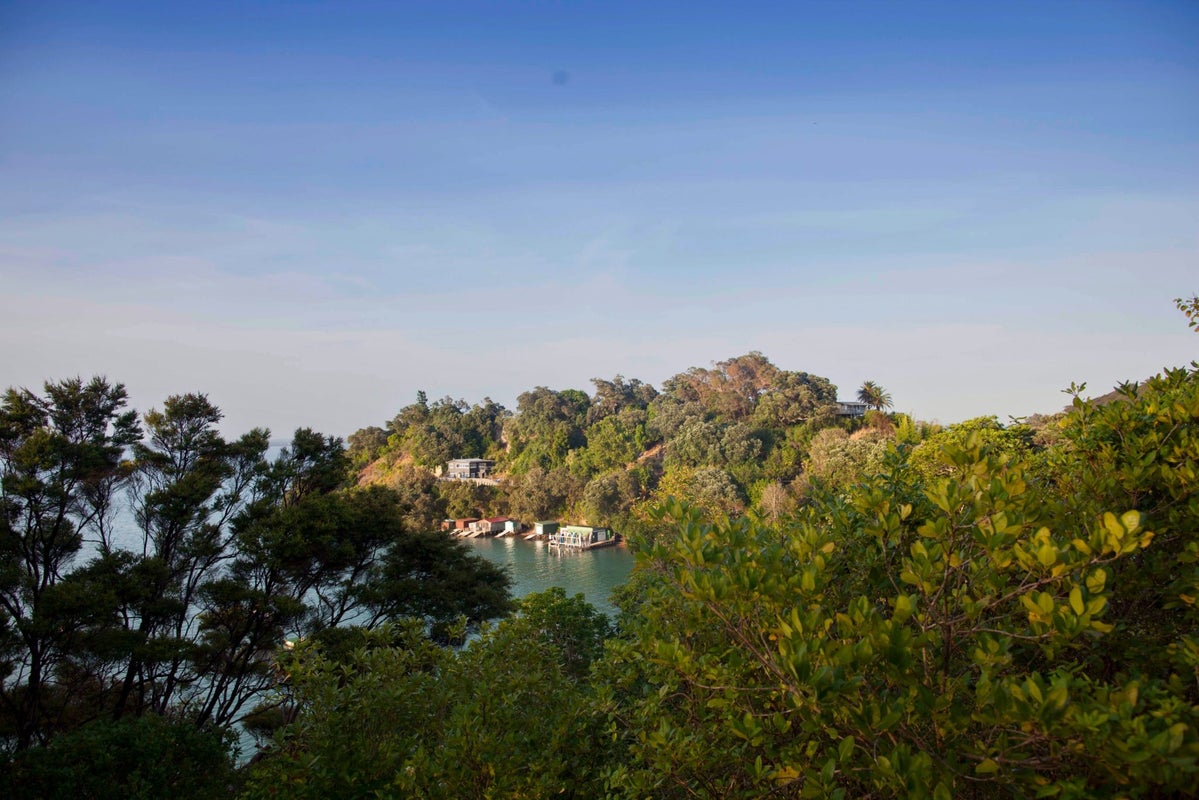 5 Upland Road, Ōmiha, Waiheke Island - Carousel 2
