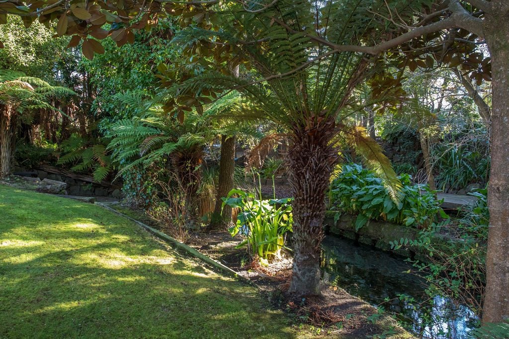 118 Straven Road, Fendalton, Christchurch - Carousel 40