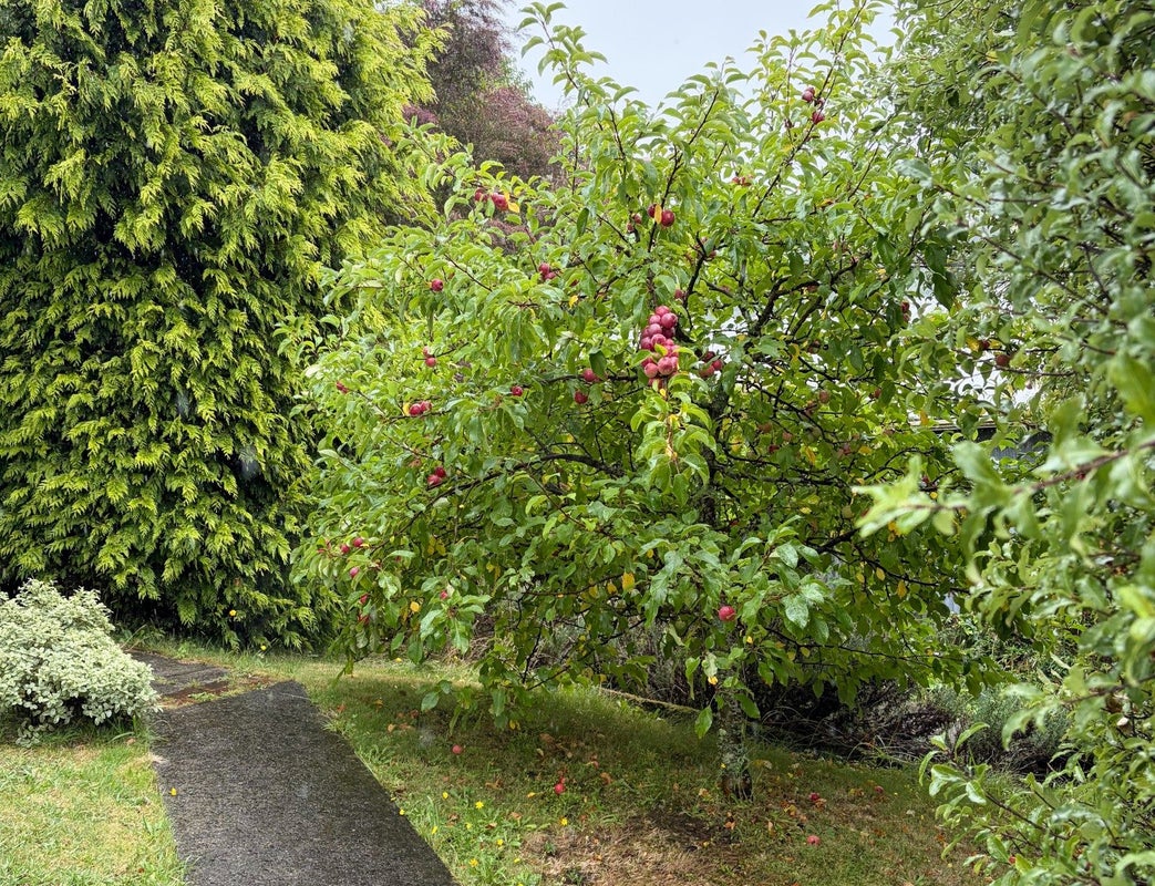 8 Arrow Street, Washington Valley, Nelson - Carousel 29