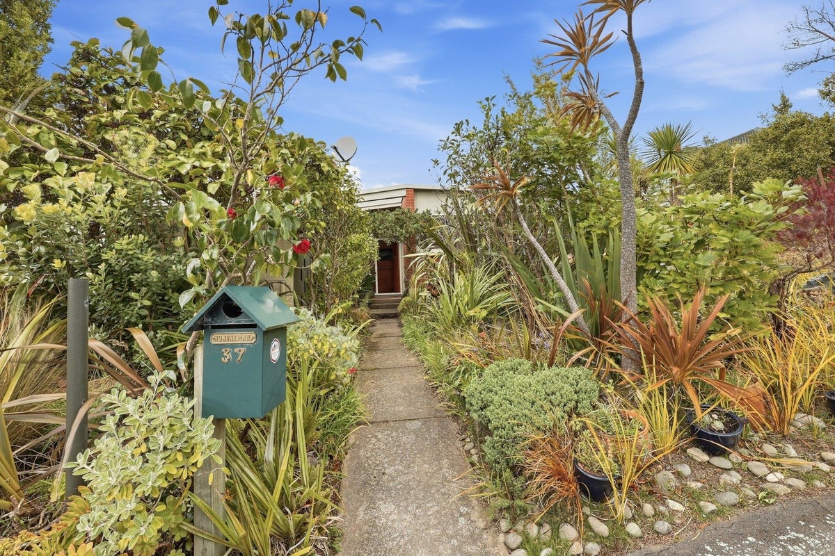 37 Derwent Street, Helensburgh, Dunedin - Carousel 1