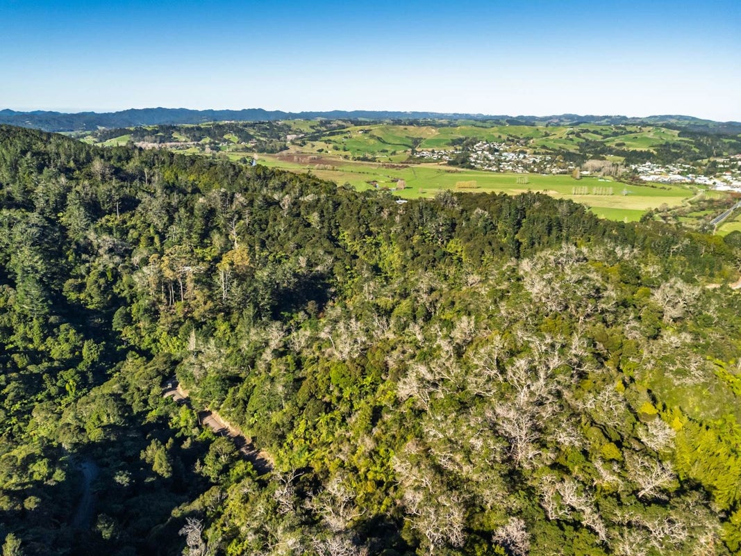 0 Whangae Road, Kawakawa, Kawakawa - Carousel 1