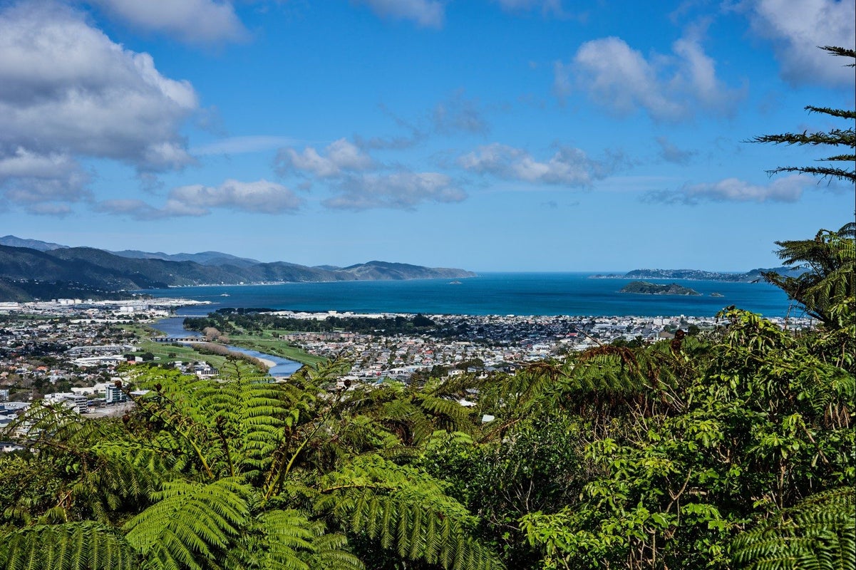 21 Arahiwi Grove, Tirohanga, Lower Hutt - Carousel 2