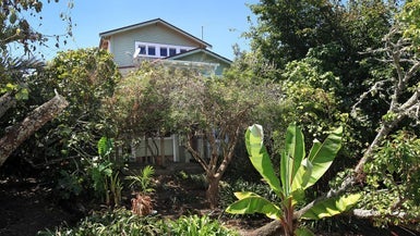 8 Wallingford Street, Grey Lynn, Auckland - Carousel 1