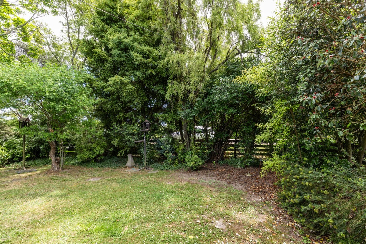 988 Norton Road, Longlands, Hastings - Carousel 21