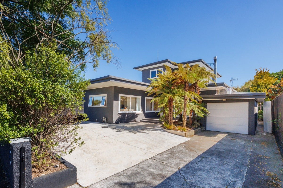 59 Limbrick Street, Terrace End, Palmerston North - Carousel 1
